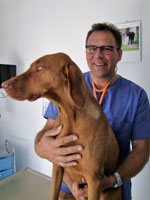 Tierarztpraxis DVM Thomas Held Tierarztpraxis DVM Thomas Held
